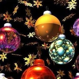 Meet your Posher, Rosie